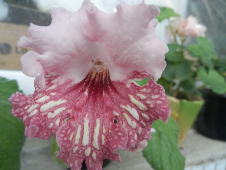 Итоги лета. Некоторые из моих любимчиков.