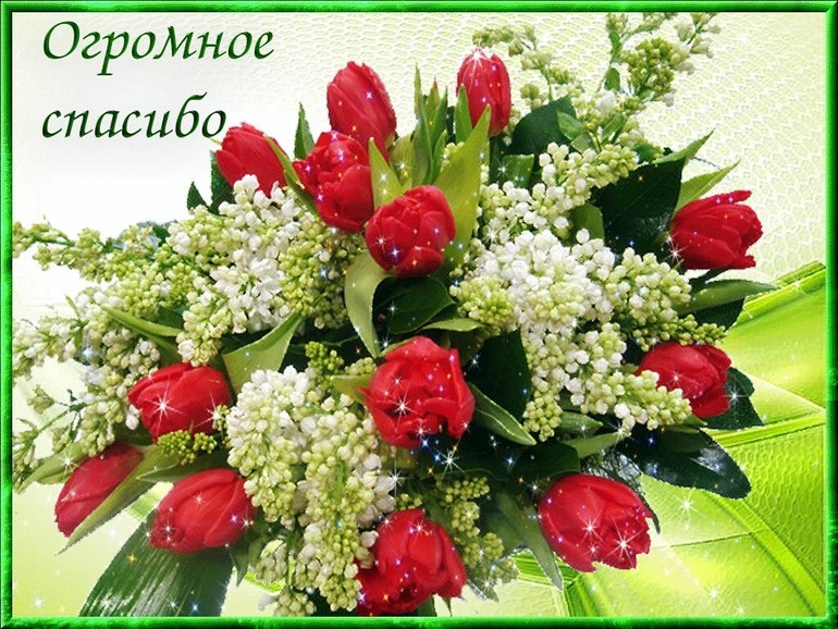 Моя благодарность картинки