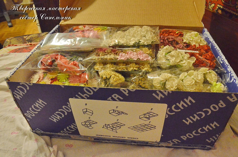 Моя МАЛЕНЬКАЯ хвастушка)))) Цветы