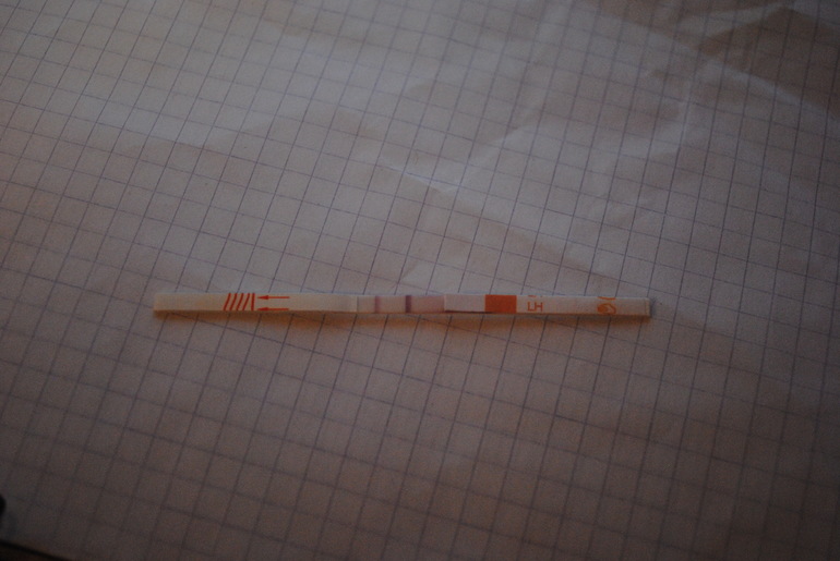 Срочно нужно мнение экспертов! Тест на овуляцию