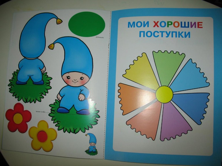 Отзыв о ШСГ 2+