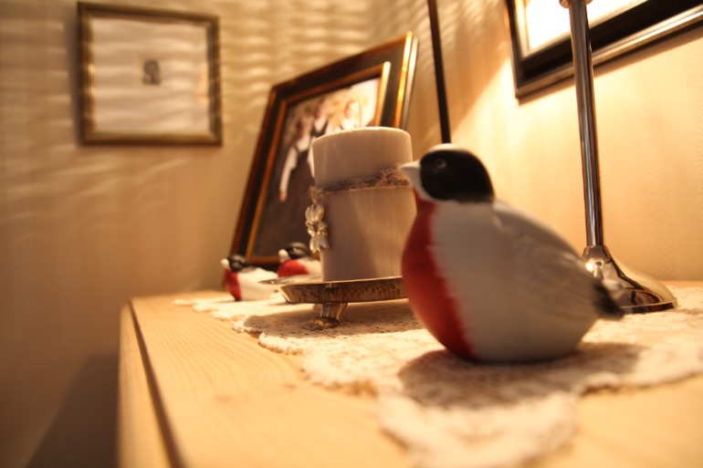 Добро пожаловать к моим норвежским родственникам.