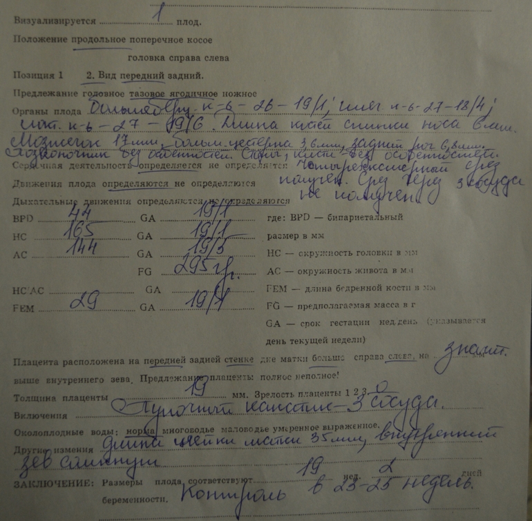 Помогите расшифровать УЗИ