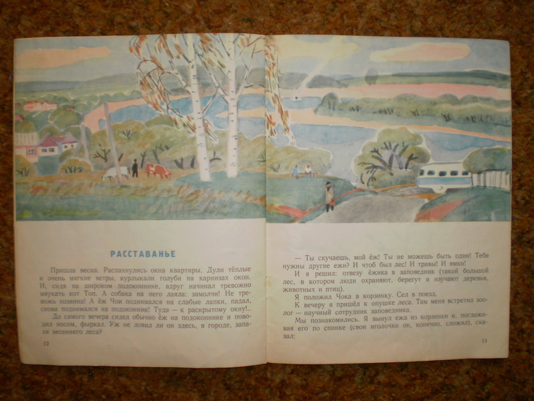 Осенние ежики