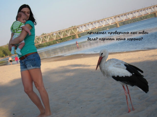 Визит аиста)))