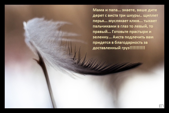 КАК И ОБЕЩАЛА!!! ТАЛИСМАНЫ НА НОЯБРЬ ДЛЯ 9-ТИ ДЕВЧАТ!!!!