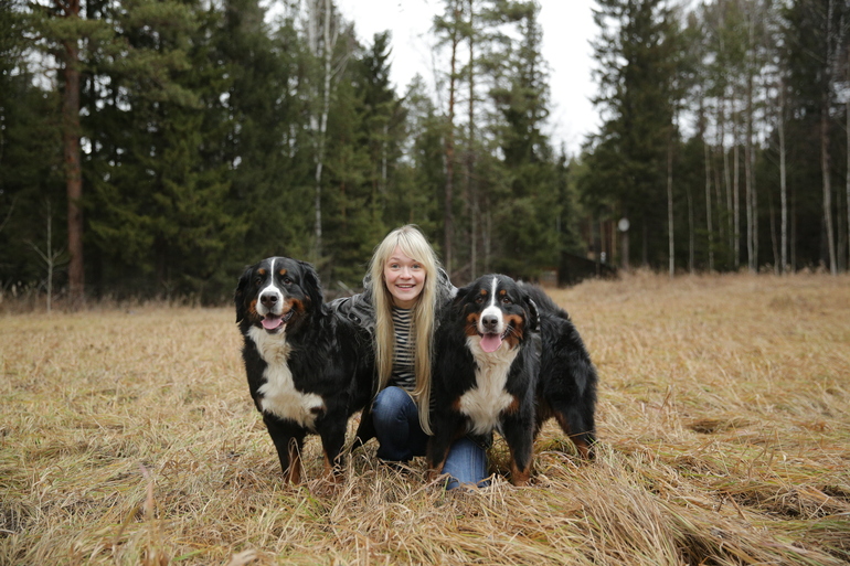 Вышивки с собаками моей любимой породы!