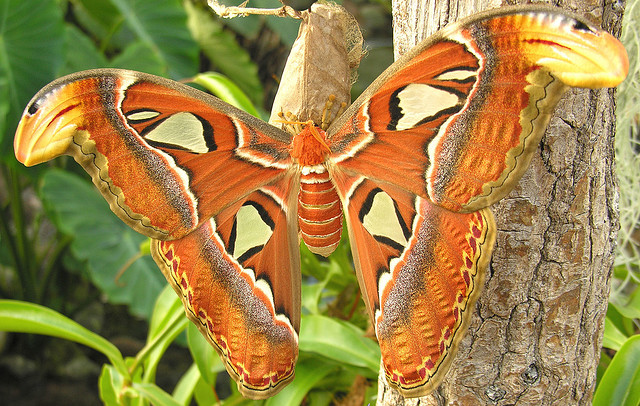 Чем заняться с детьми в Вене?