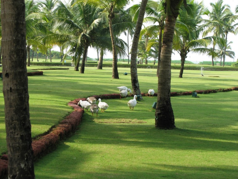 ИНДИЯ. Гоа. Taj Exotica Goa 5*