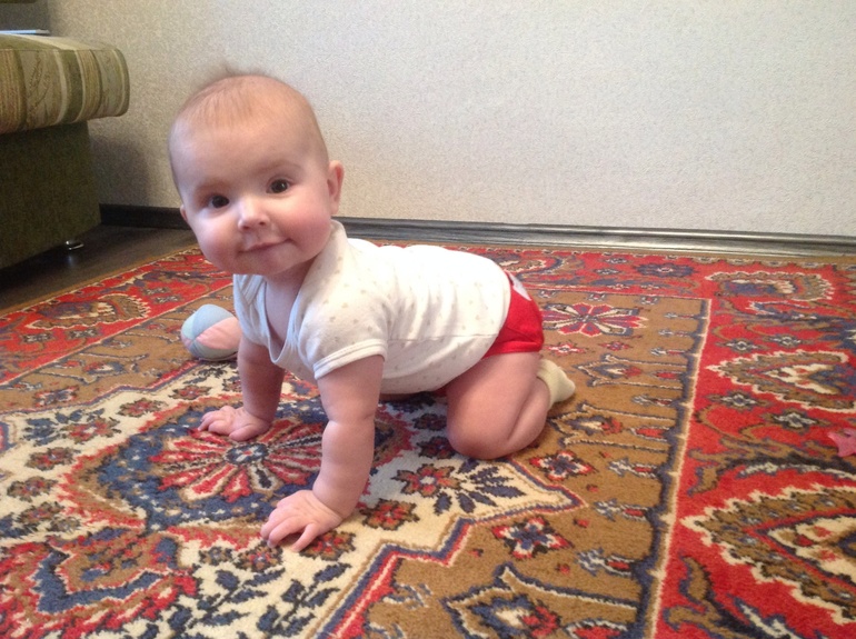 Встали на четвереньки