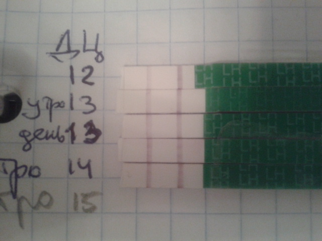 Как это понимать?))