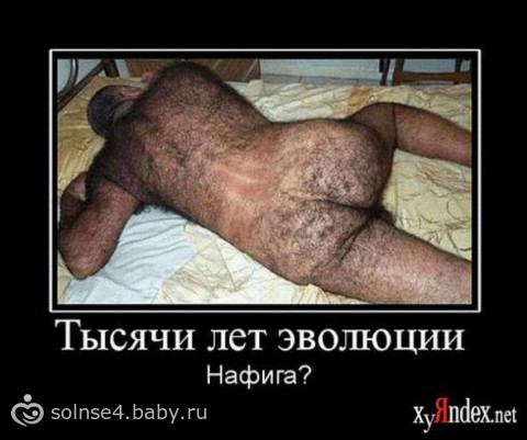 408af99eafd29c1e2d3950429fa34b4e.jpg