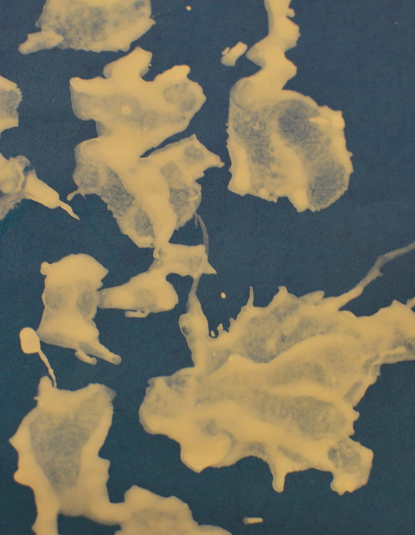 26 дней до Нового года