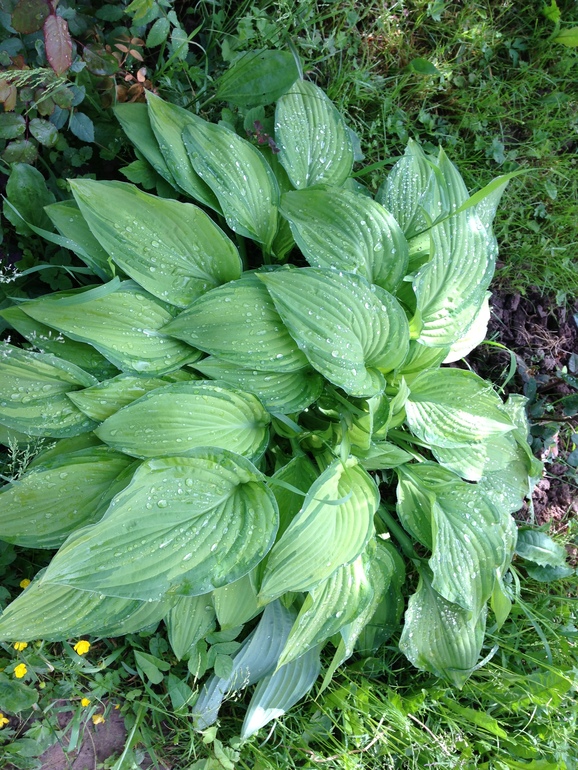 Чем порадовало 2013 лето:))