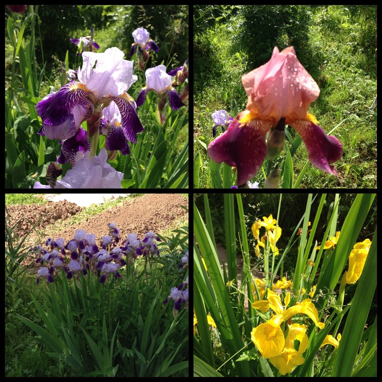 Чем порадовало 2013 лето:))