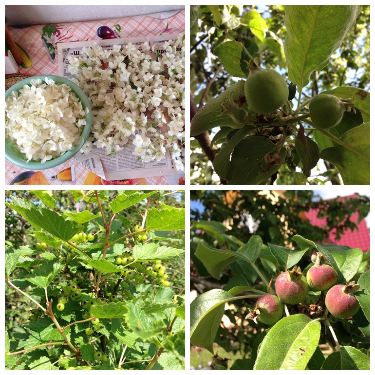 Чем порадовало 2013 лето:))