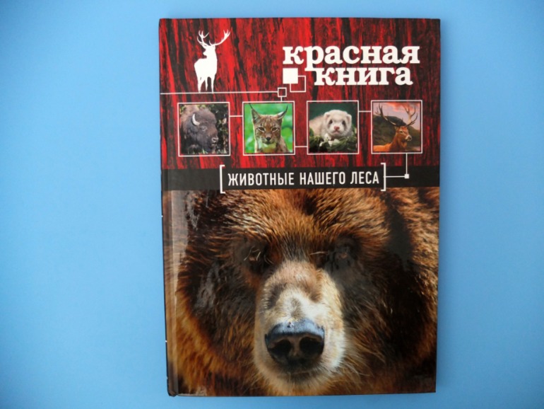 Итоги книжного ноября