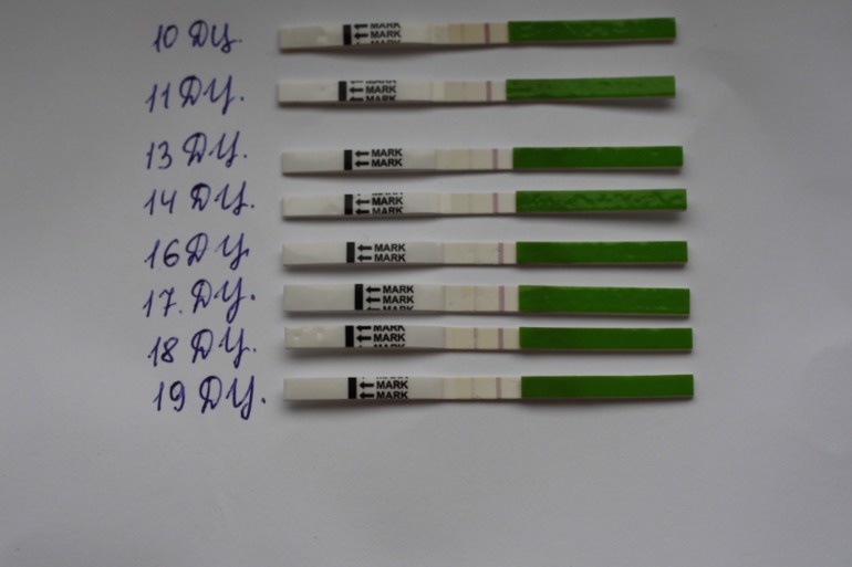 Когда была Овуляция (фото)