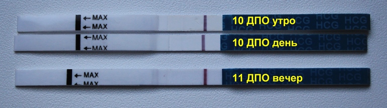 Два дня подряд. Эви тест 10 -11 ДПО. 10 ДПО утро вечер тест.
