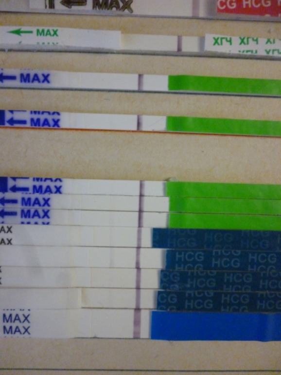 Вот так в прошлом месяце выглядела моя наверно БхБ.И в этом месяце имеем.юю