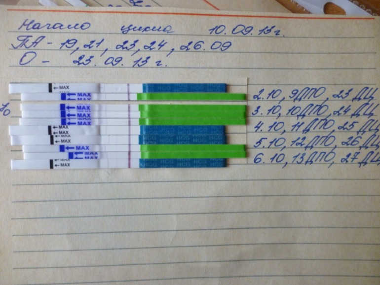 13 дпо как вам?