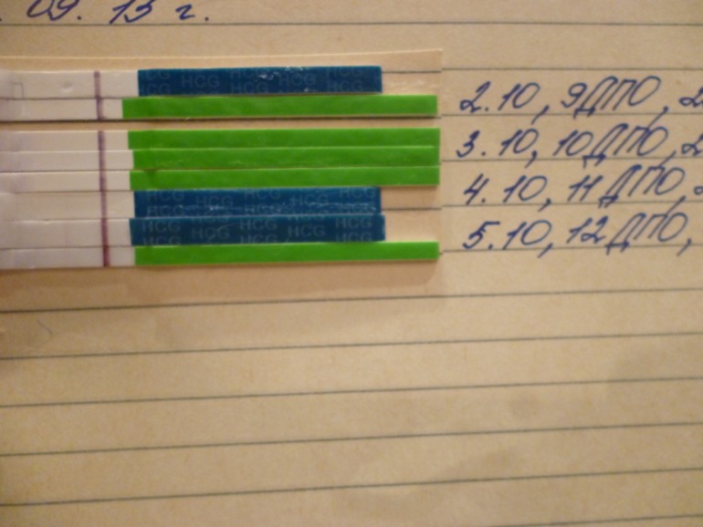 Вчера 80% ваших мнений по тесту