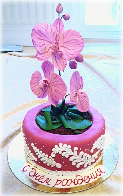 МОЙ ПЕРВЫЙ ГОРШОЧЕК С ОРХИДЕЕЙ!