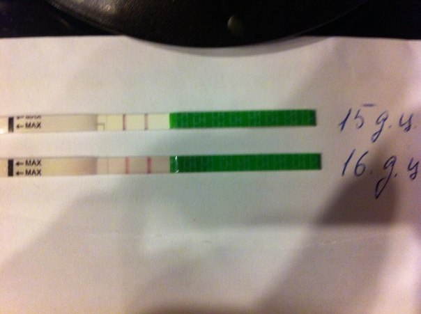 Девчёнки привет!Посмотрите мои первые тесты!!