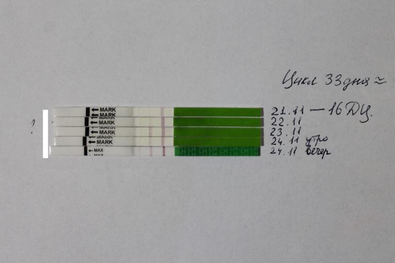 Овуляция была вчера?