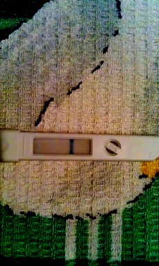 ce187b6e98312bf5a7b57a9e7fb92da0.jpg