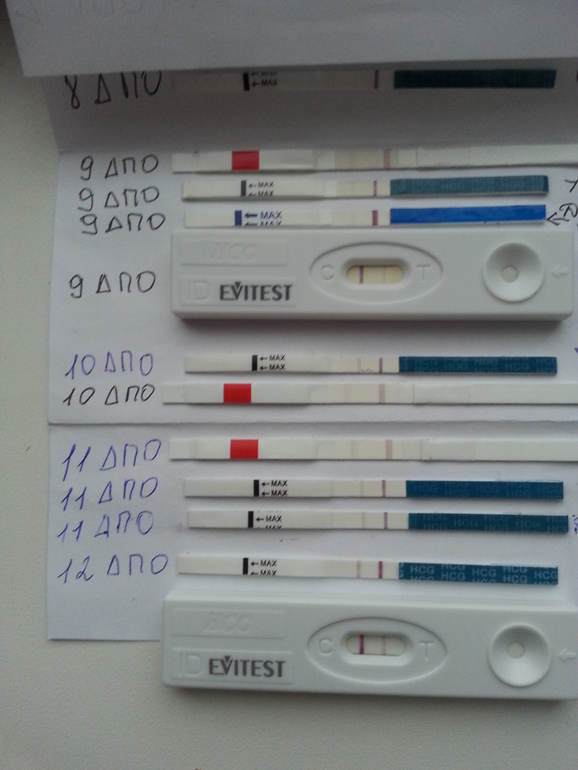 Динамика....посмотрите пожалуйста...