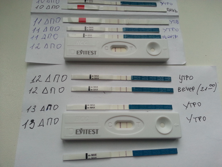 девчонки посмотрите ...почему сегодня полоска вторая слабее...чем вчера...