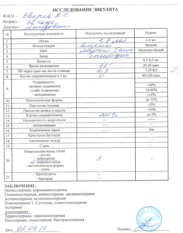 Нормоспермия. Азооспермия спермограмма. Азооспермия заключение. Анализы при азооспермии. Показатели нормоспермия.