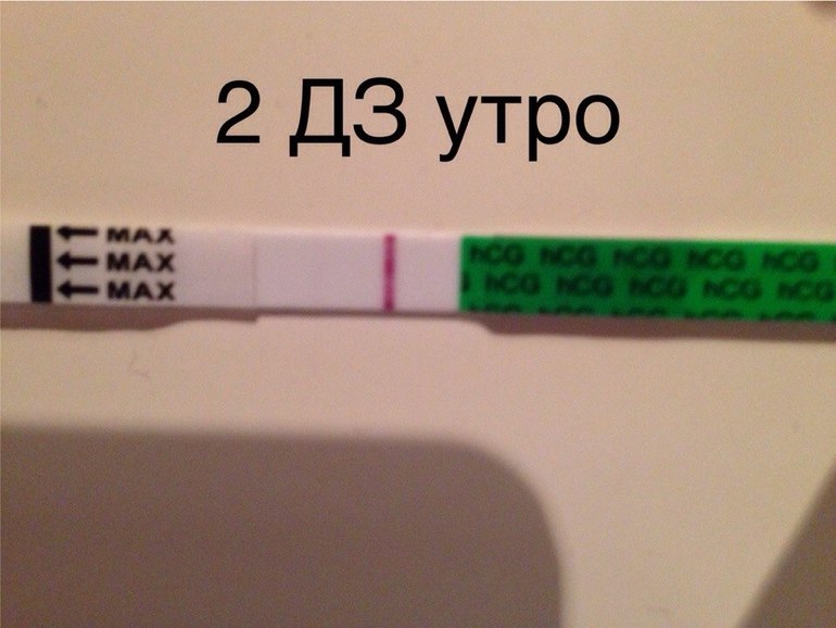 Сижу любуюсь!!! Желаю всем хочушкам поскорее испытать такое счастье!!!