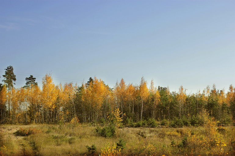 Осенне настроение 2.