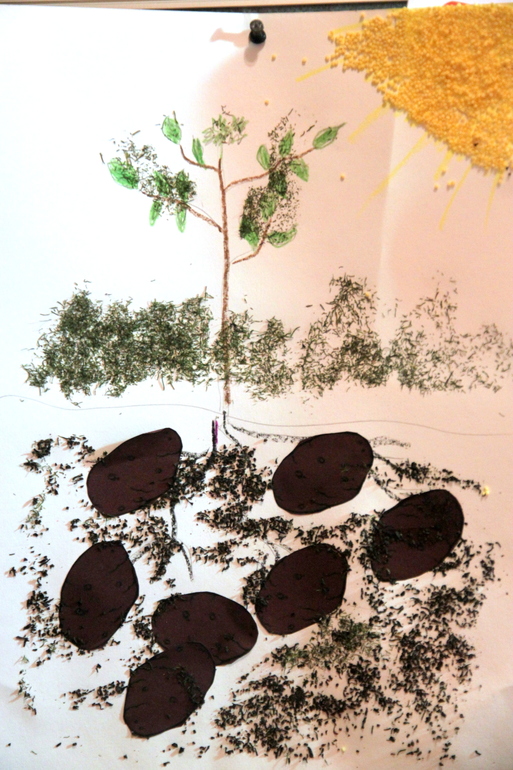 Урожайная неделька