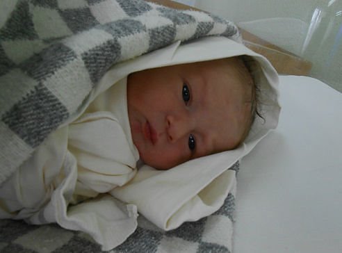 Позитивчик на сон грядущий)))