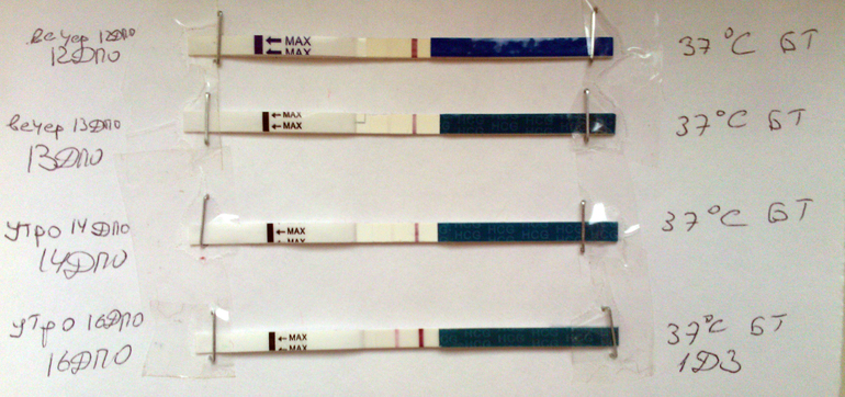 Ура! Мы беременны!