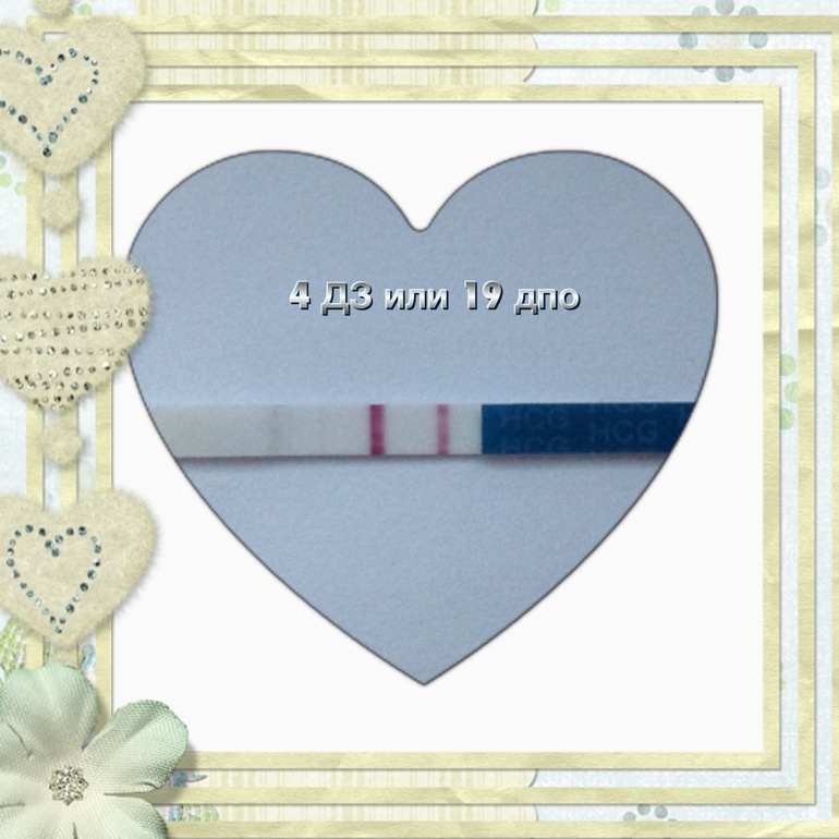 4 ДЗ или 19 дпо