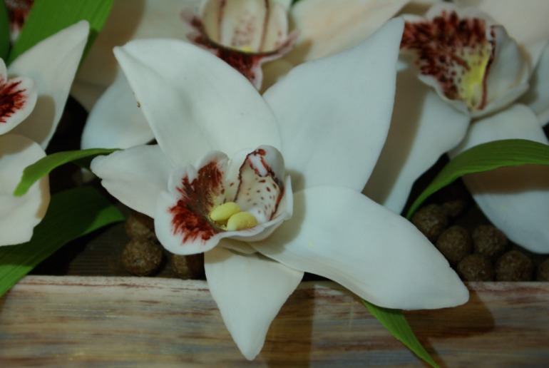 Торт с орхидеями!