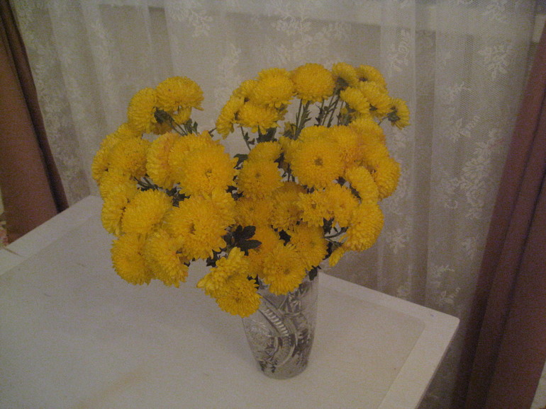 49eaabeed33f876d08c6691b55e36b8b.jpg