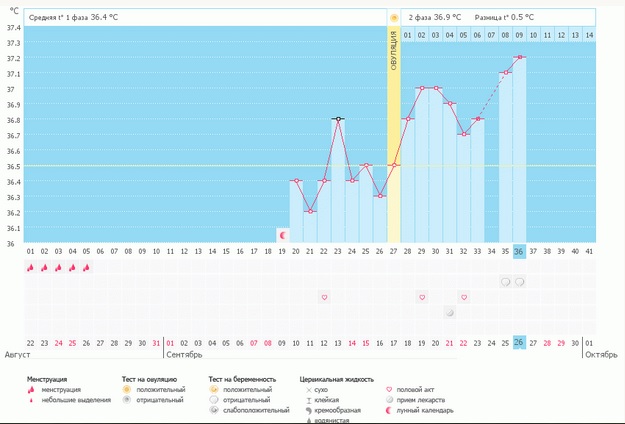 Когда была овуляция? Есть ли шанс на беременность?