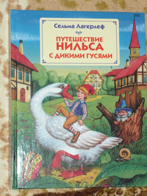Книжки двух мальчишек