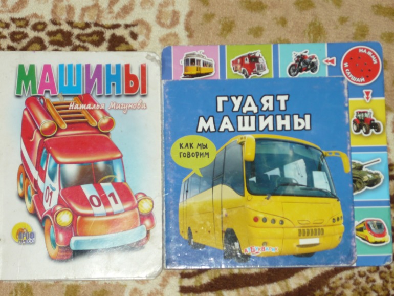 Книжки двух мальчишек