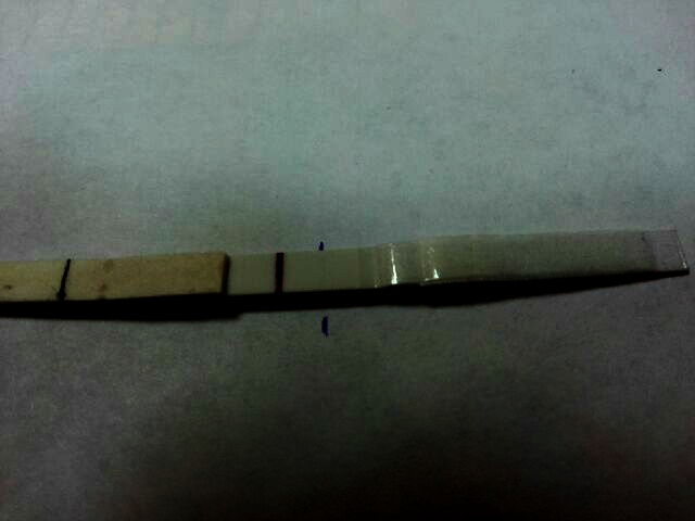 Если и в этот раз пролет,то все на самотек...