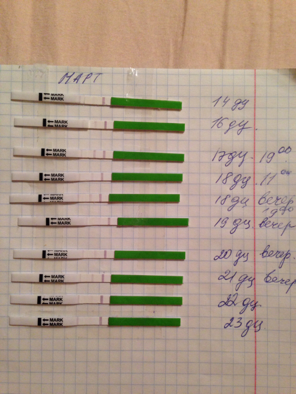 Делать тест после месячных. Тесты при поздней овуляции. Тесты на овуляцию при поздней овуляции. Тест на беременность до овуляции. Динамика тесты поздняя овуляция.
