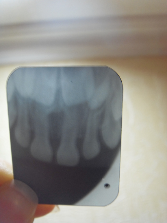 Ударилась зубками о пол