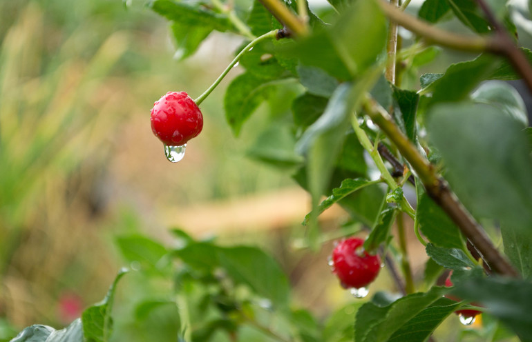 Урок №3. Слои