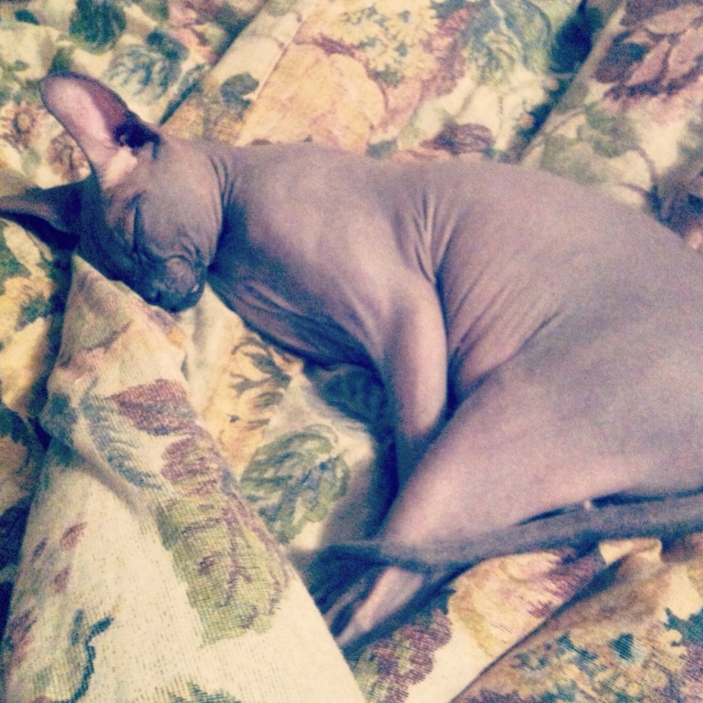 Вот так мы спим,на супружеском ложе)))))