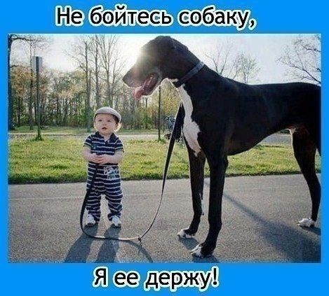 Маленькие дети и большие собаки :)